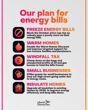 Lib Dem actions on energy 2022